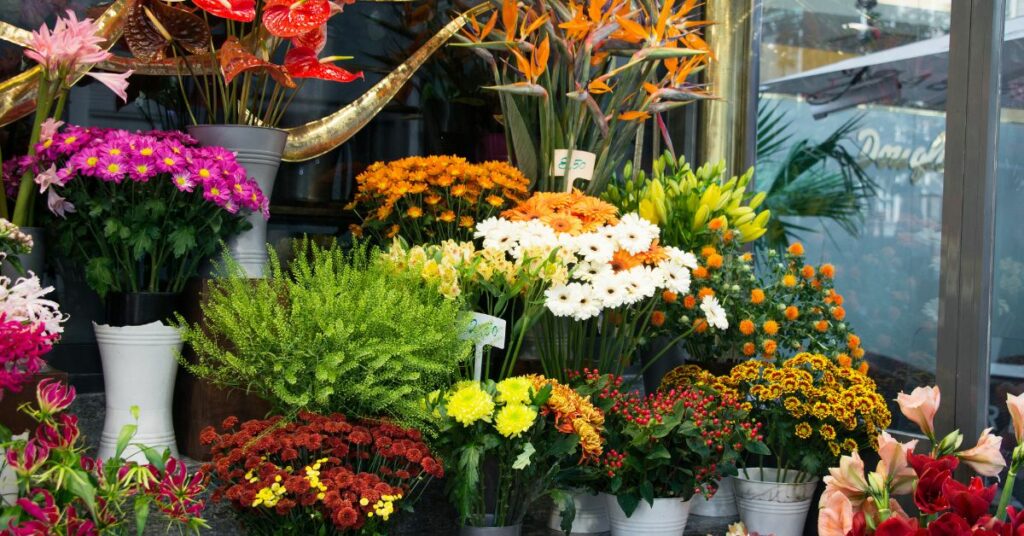 אילו חנויות פרחים ייחודיות תוכלי למצוא בדרום הארץ